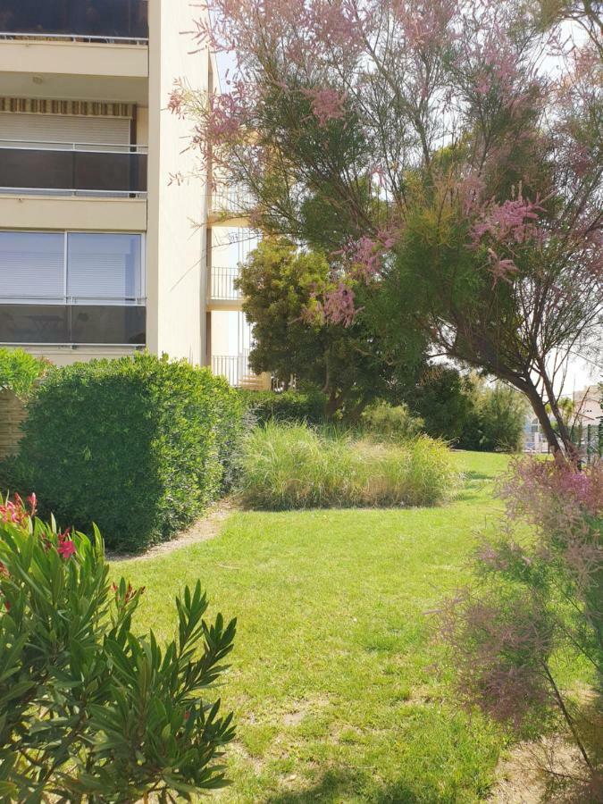 Studio Moderne Avec Parking Et Piscine- 313 卡内 外观 照片